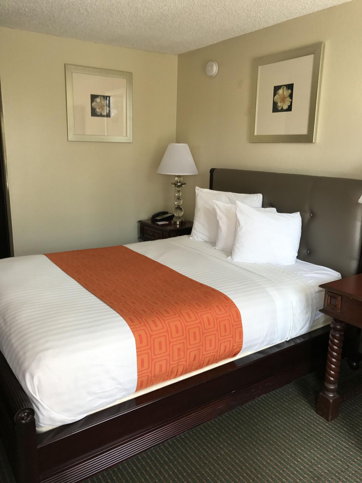 Stayable St Augustine เซนต์ออกัสติน ภายนอก รูปภาพ